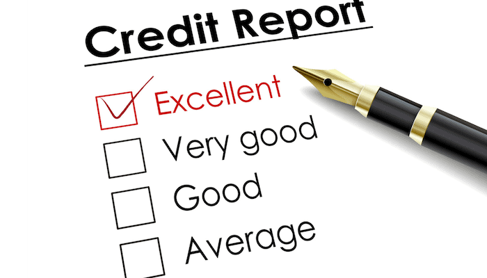 Credit report picture with ink penl