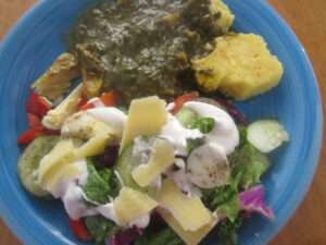 A plate of Trinidad food during carnival